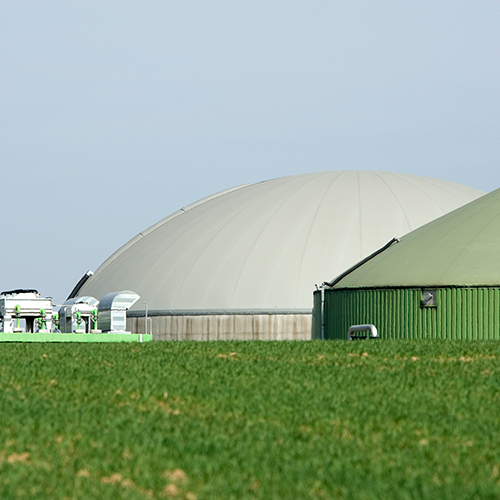 renewable-natural-gas