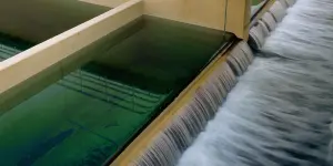 Xử lý nước và chất thải đô thị