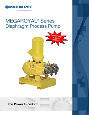 ir_megaroyal_brochure_6102020_en_web