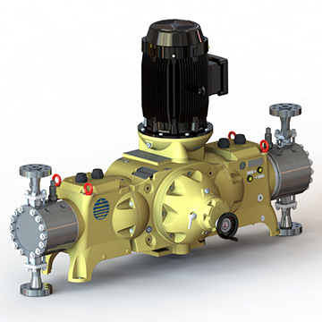 Dòng PX FT Primeroyal